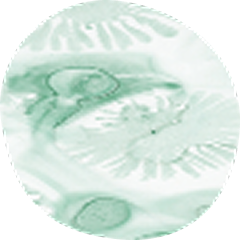 Biomarker