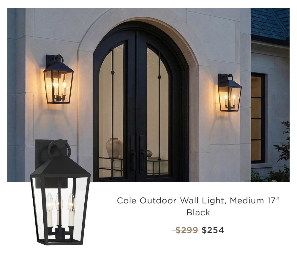 Cole Outdoor Wall Light, Medium 17” Black