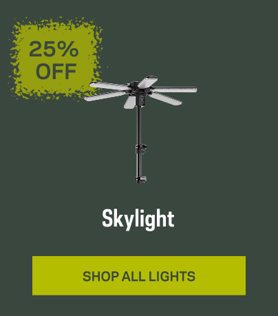25% off lights and Lanterns