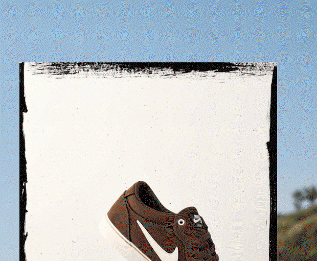 Nike Sb Chron 2 Shoes