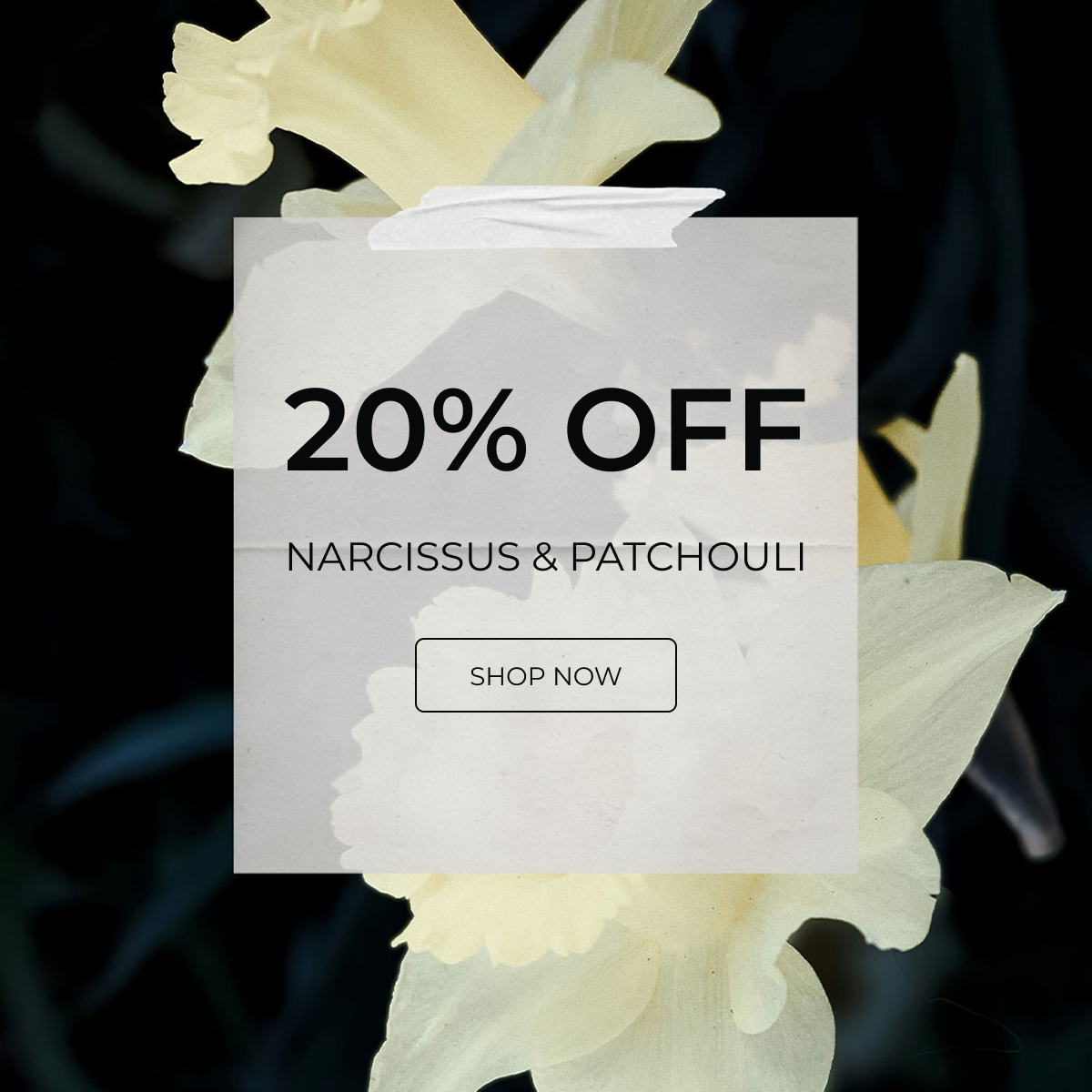 20% OFF NARCISSUS & PATCHOULI SHOP NOW