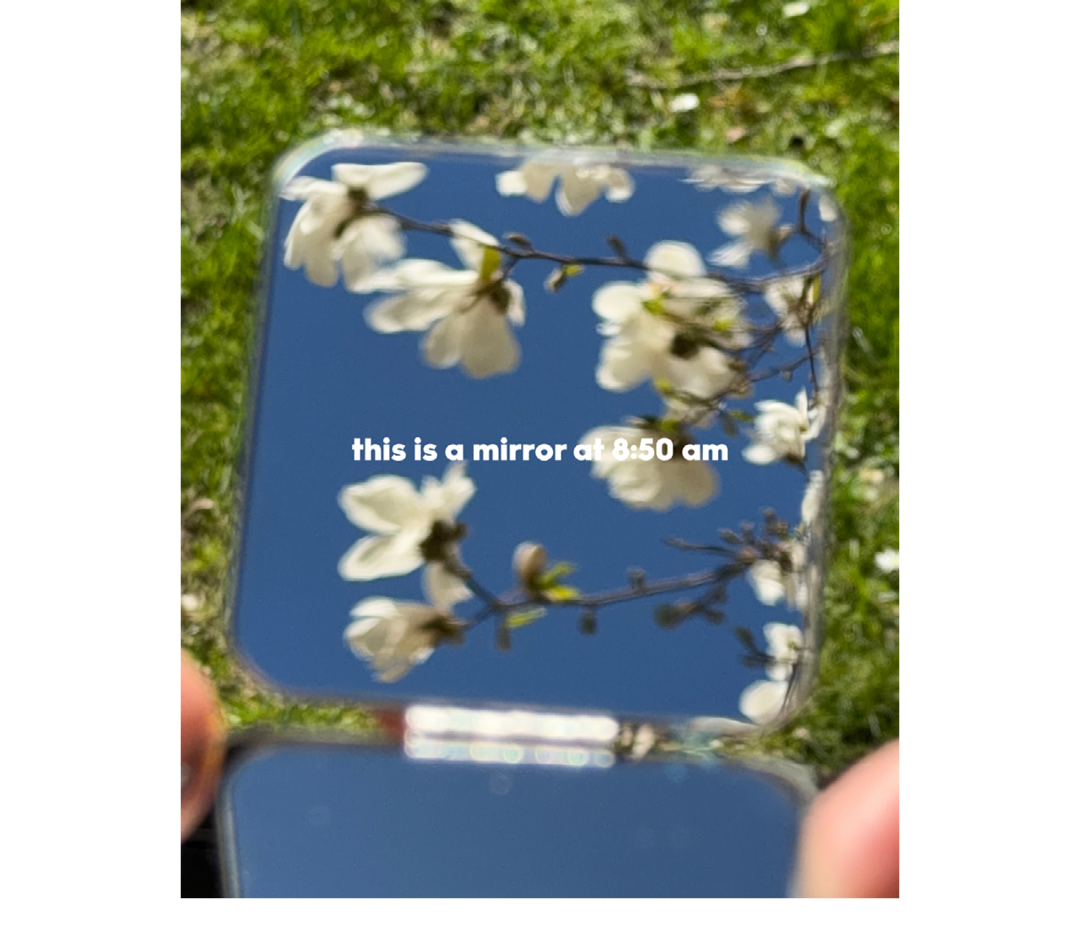 Mirror