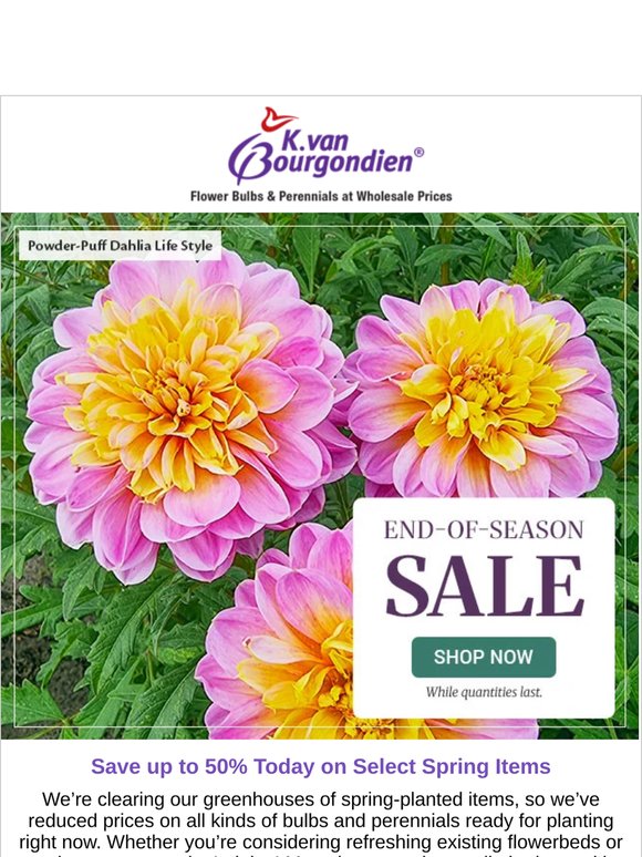 ⏱️ Time’s Running Out! Clearance Pricing Ends Soon