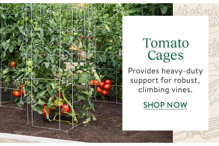 Tomato Cages