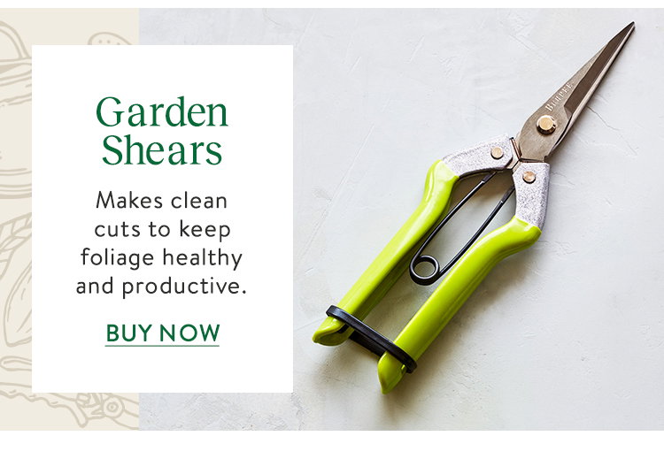 Burpee CR725 Garden Pruning Shears