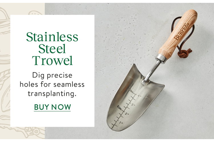Stainless Steel Trowel