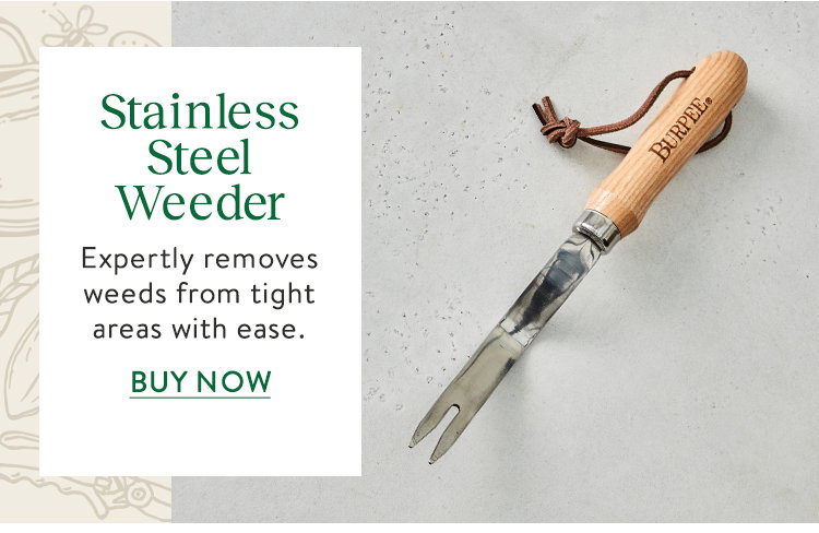Burpee Stainless Steel Weeder