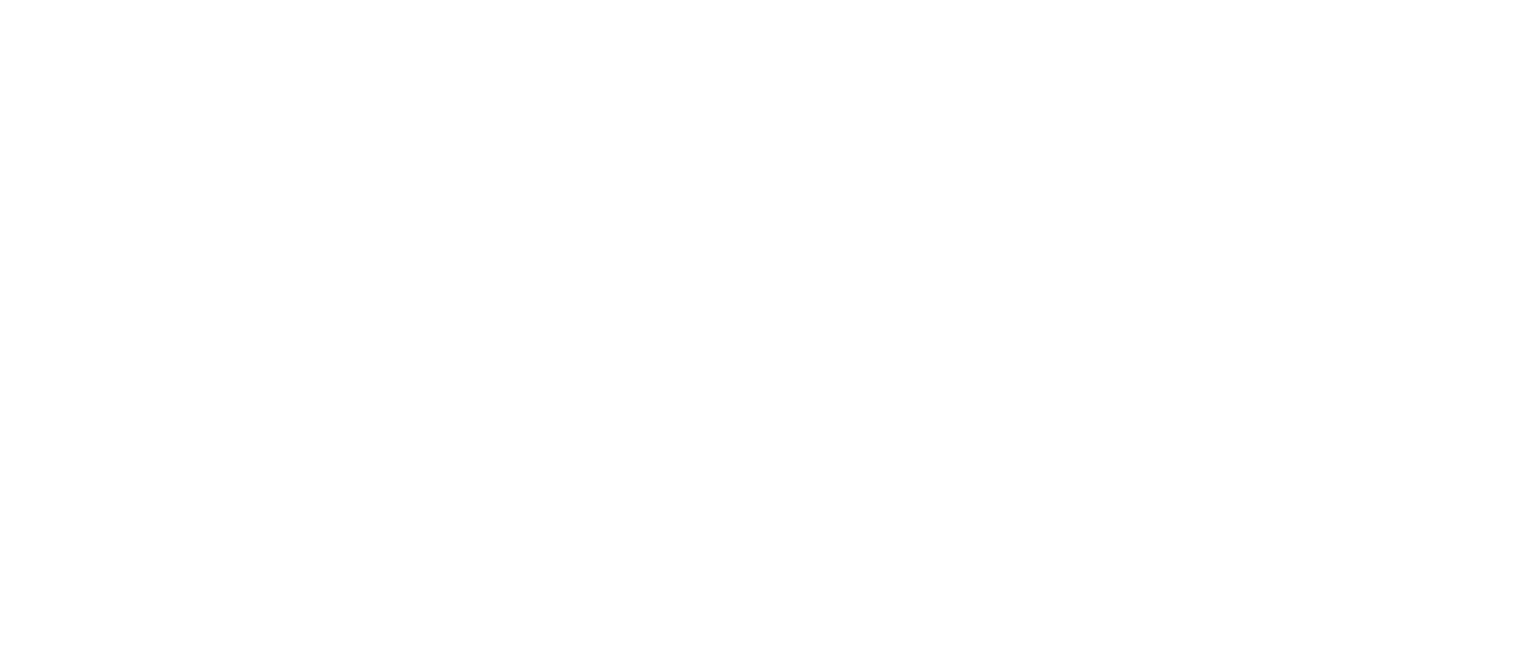 Artist Guitars