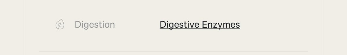 Digestion  Digestive Enzymes