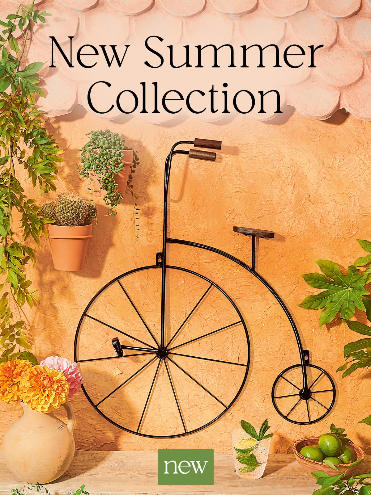 New Summer Collection