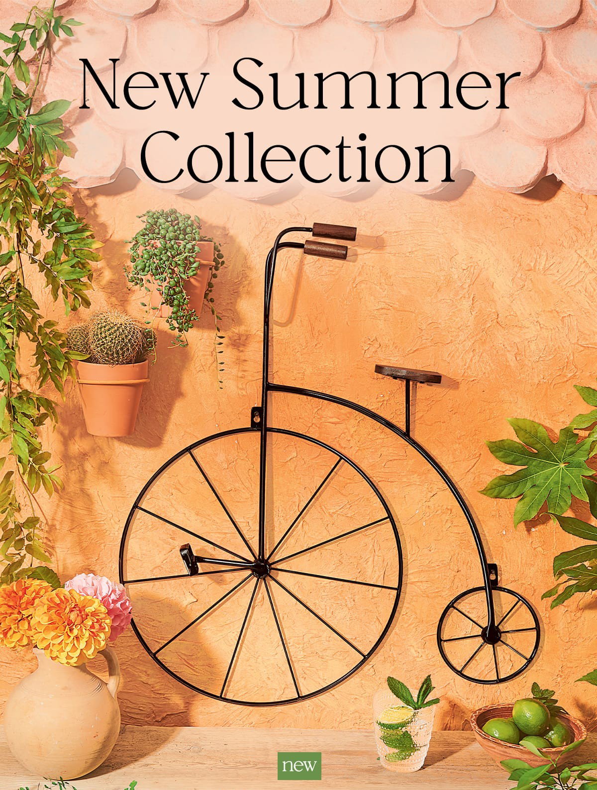  New Summer Collection