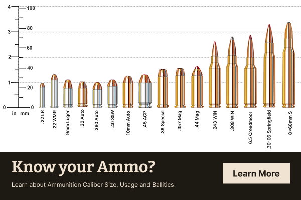Ammo Caliber Size Chart