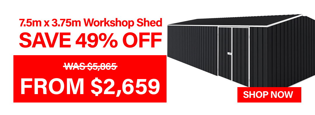 Workshop Shed