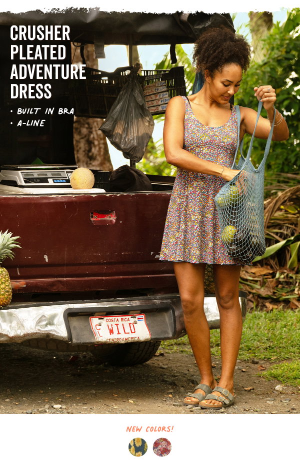 Shop the Crusher Pleated Dress