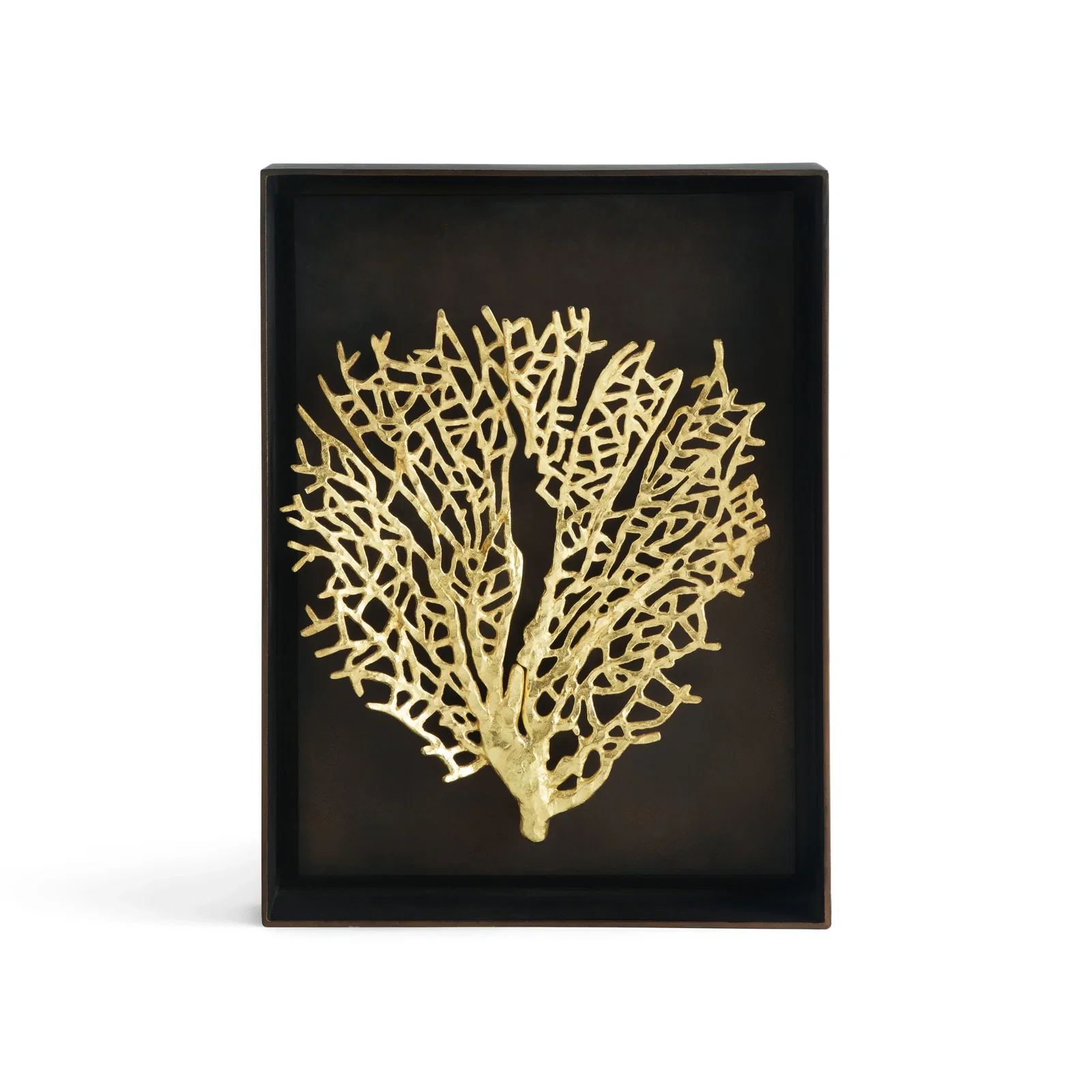 Image of Fan Coral Shadow Box - Gold