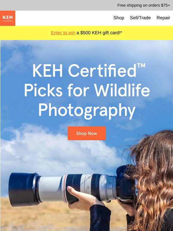 Must-have gear for wildlife photography