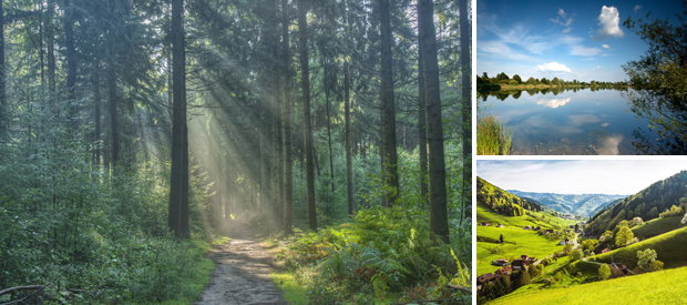 Scherpe natuurdeals nu te boeken!