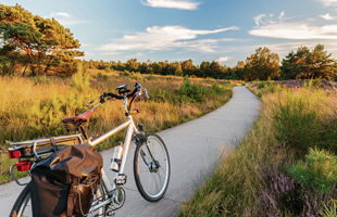 Fietsarrangementen
