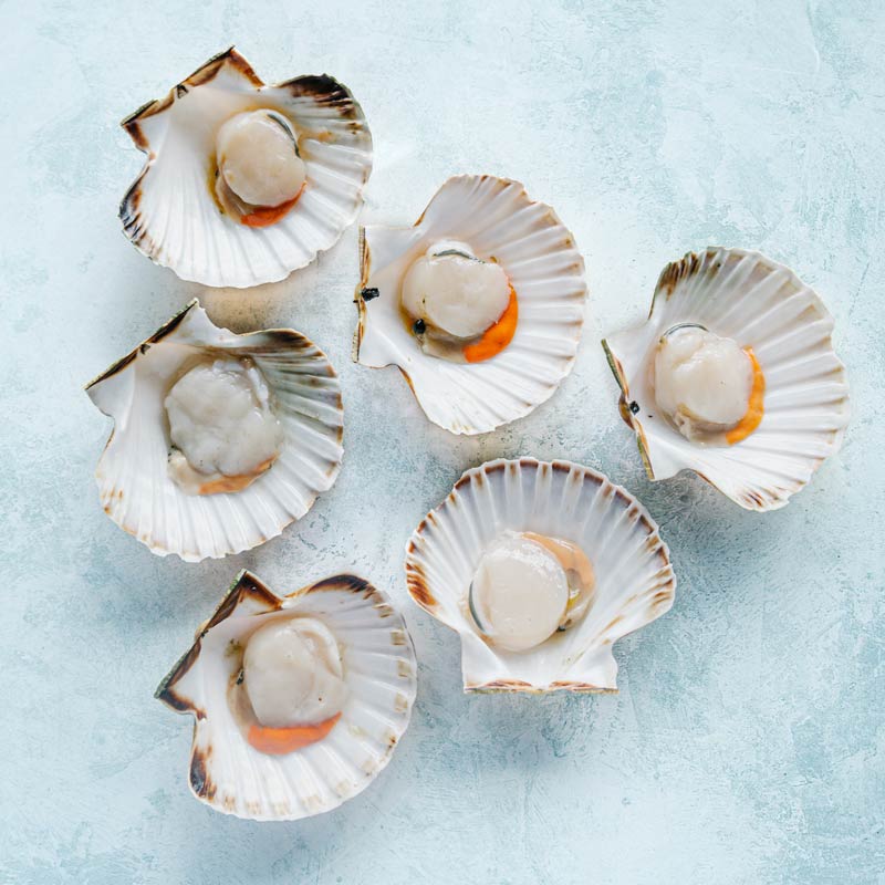 Image of Wild British Half Shell King Scallops