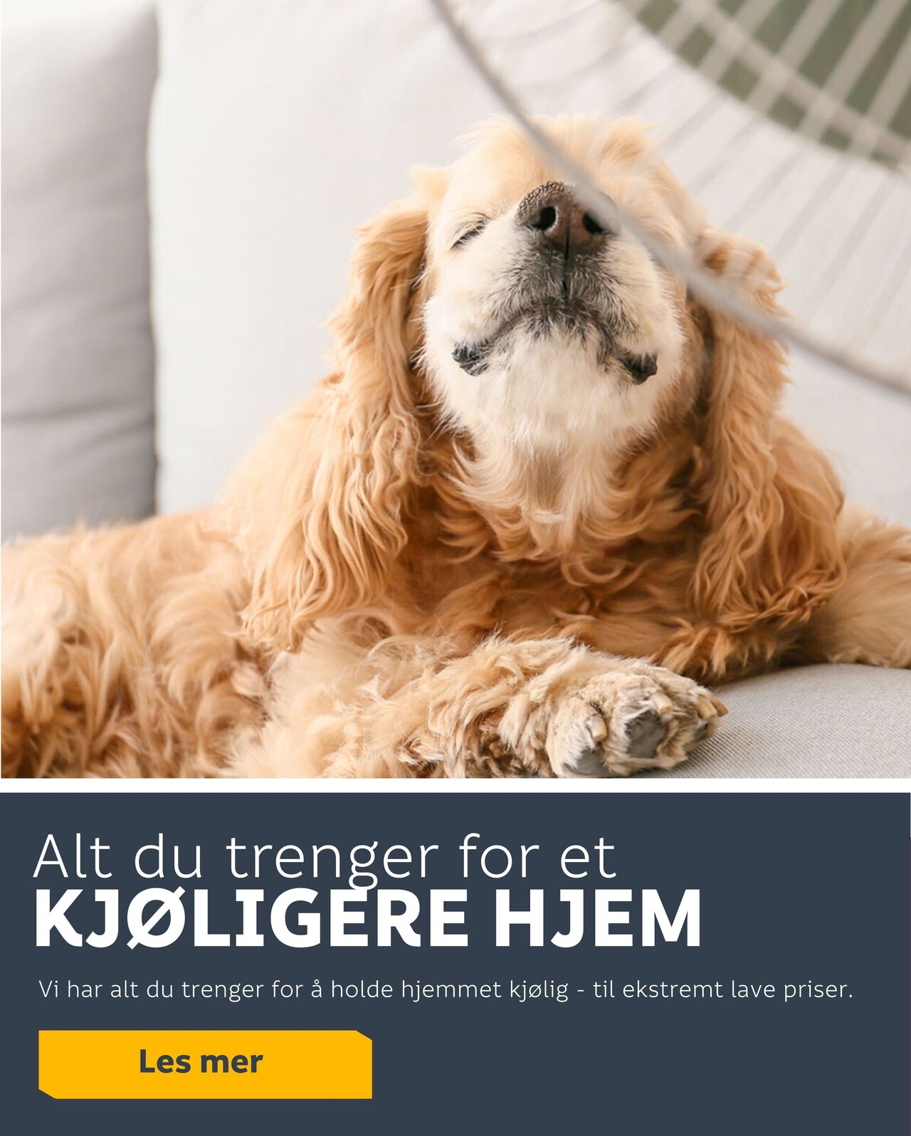 https://www.megaflis.no/inspirasjon/tips-og-triks/kjol-deg-ned?utm_campaign=K7_21052026&utm_medium=dm&utm_source=emagin&_gl=1*jfoefw*_ga*NTk0MjU4NzY1LjE3NzU2NTI1NDM.*_ga_HP0T6279R9*czE3Nzk3OTMwNjYkbzkkZzEkdDE3Nzk3OTMwODAkajQ2JGwwJGgw