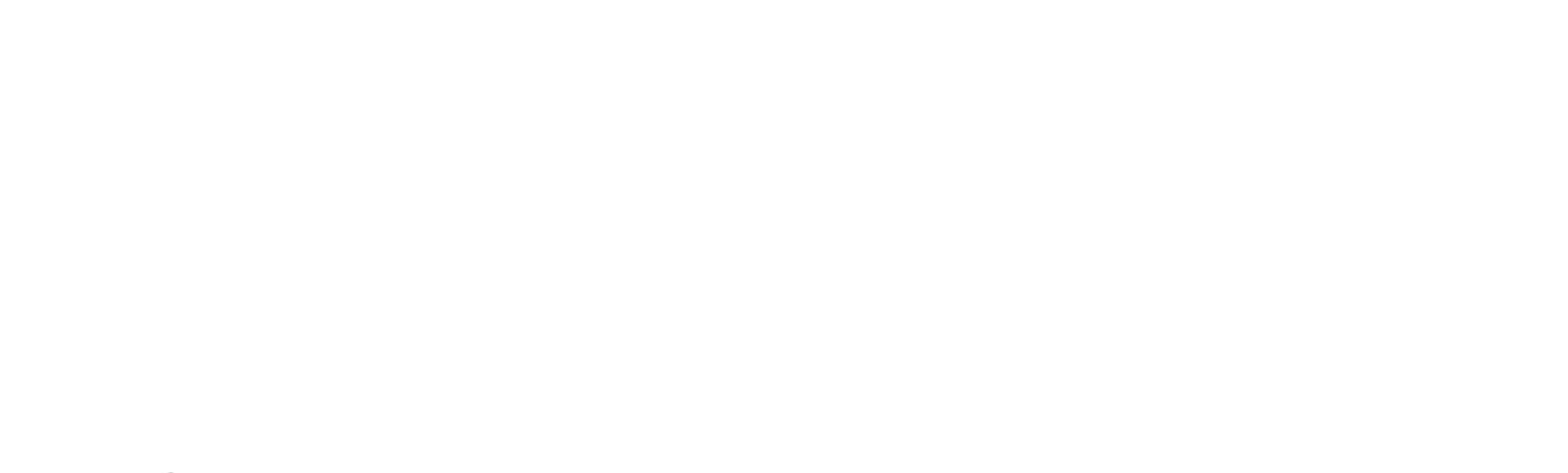 primitive skate