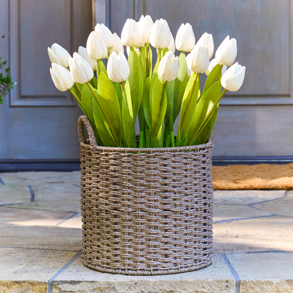 White Outdoor Tulip Garden