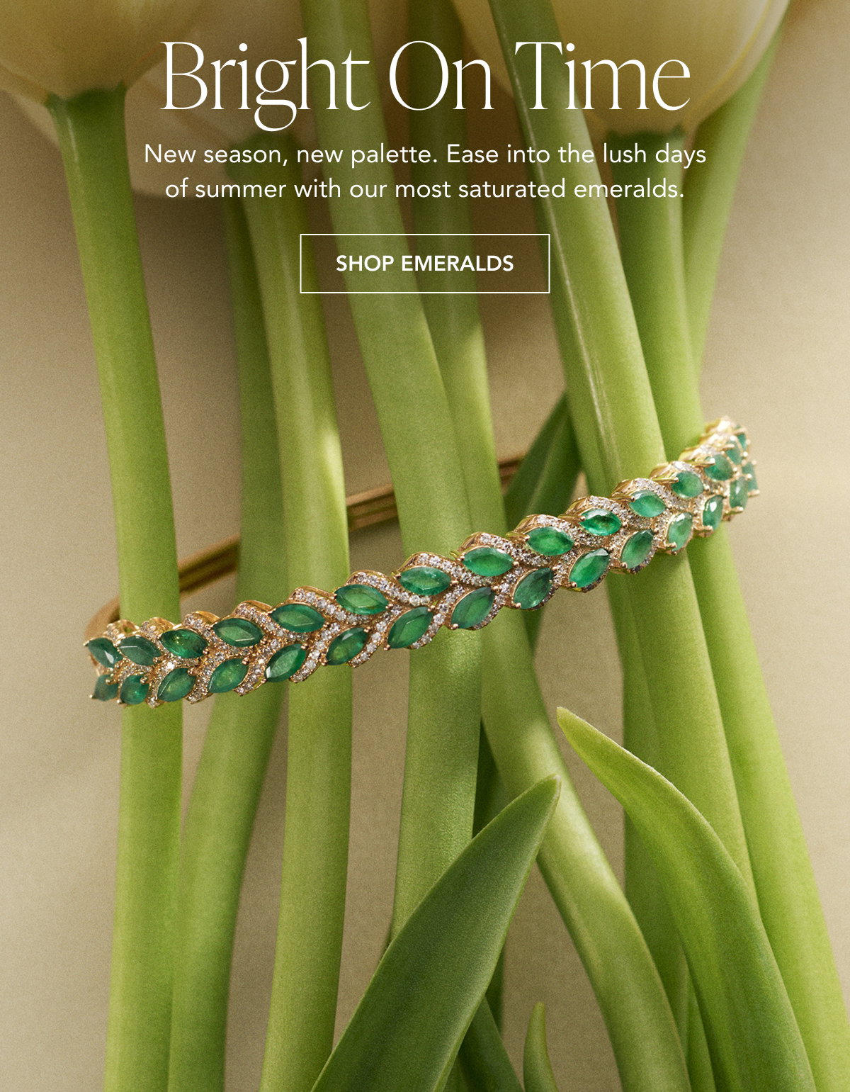 SHOP EMERALDS
