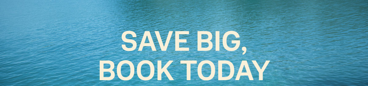 Save Big Book Today