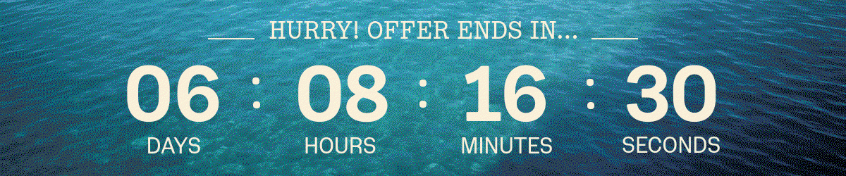 Save Big Book Today