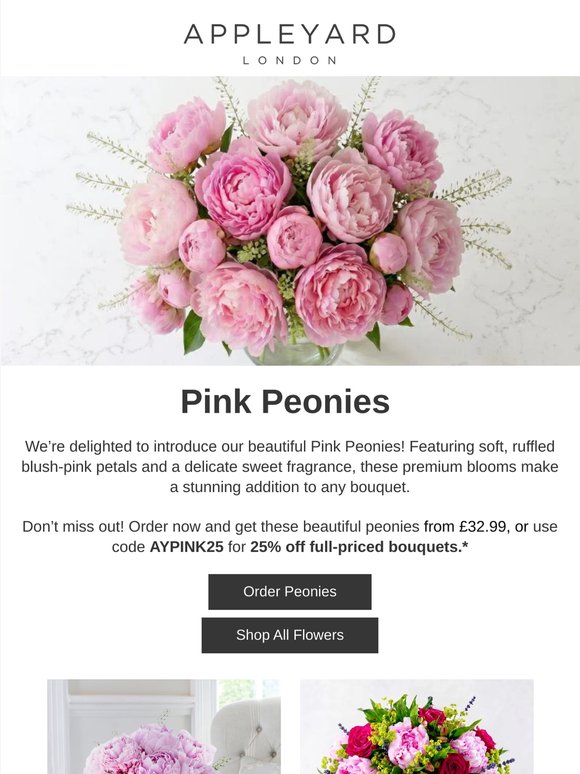 NEW IN: Pink Peonies 🌸