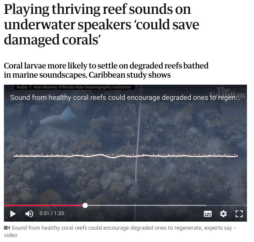 Coral reef recovery via healthy reef sounds