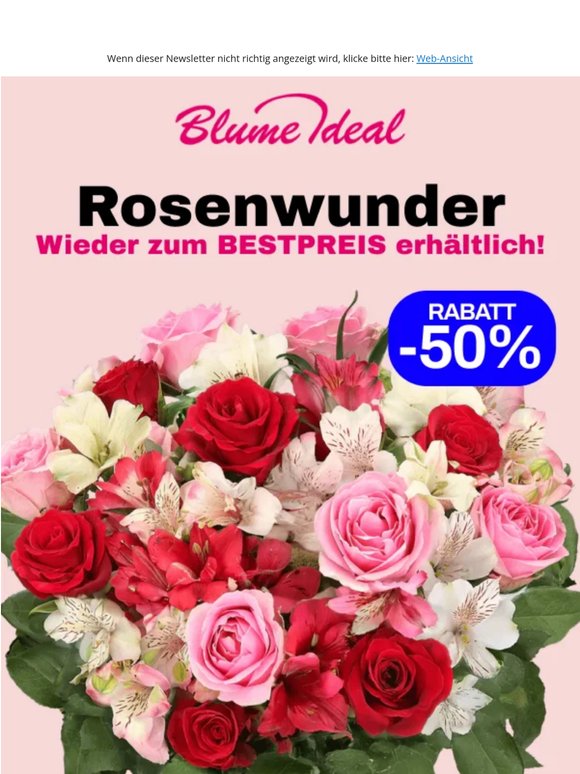 🔥 Rosenwunder für 1?,99€