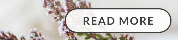 READ MORE