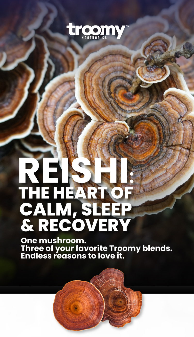 Reishi - Calm - Calming and Soothing Properties - Sleep - Sleep Support - Functional Mushroom - Troomy Nootropics in Whittier, CA