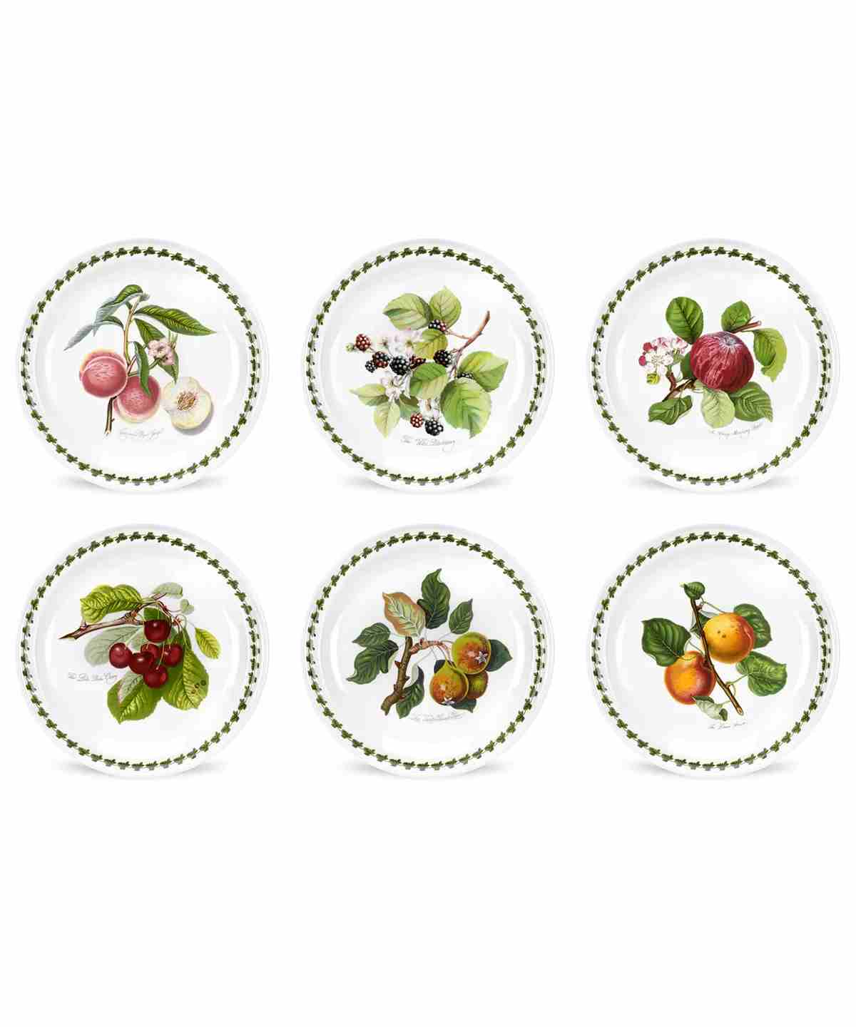 Pomona Set of 6 Plates, 8.5 Inch