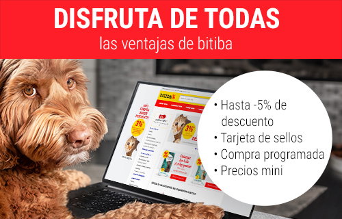 Beneficios bitiba