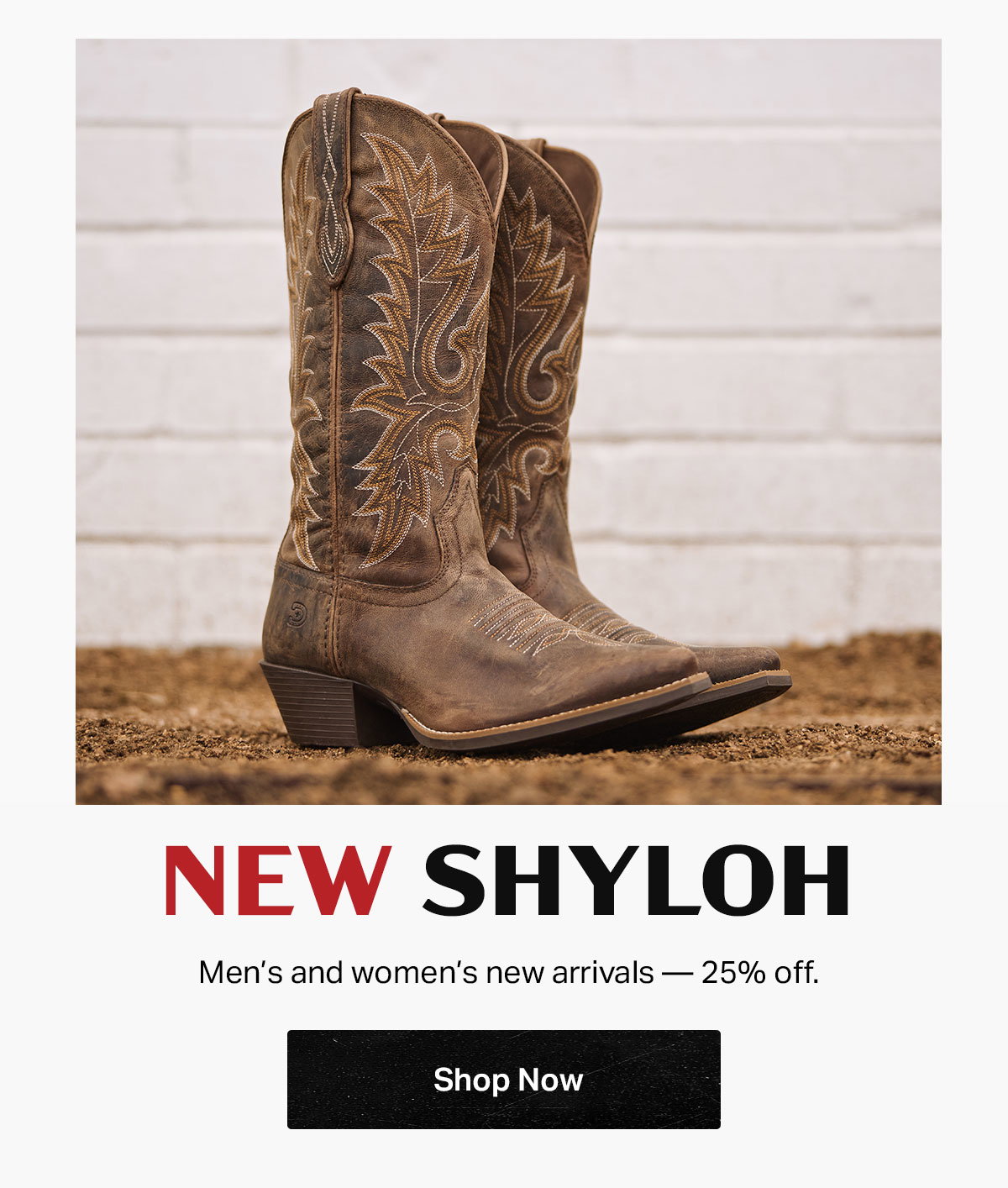 Shop New Shyloh