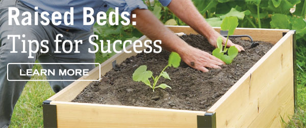 Raised Beds - Tips for Success - Learn More