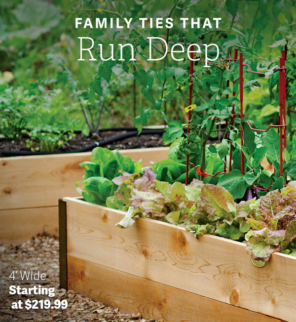 Family Ties That Run Deep - 4' Wide Starting at $219.99