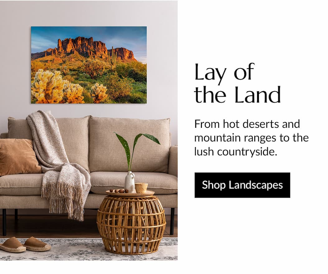 Vistas come in many forms, from mountains to beaches, fields, and streams