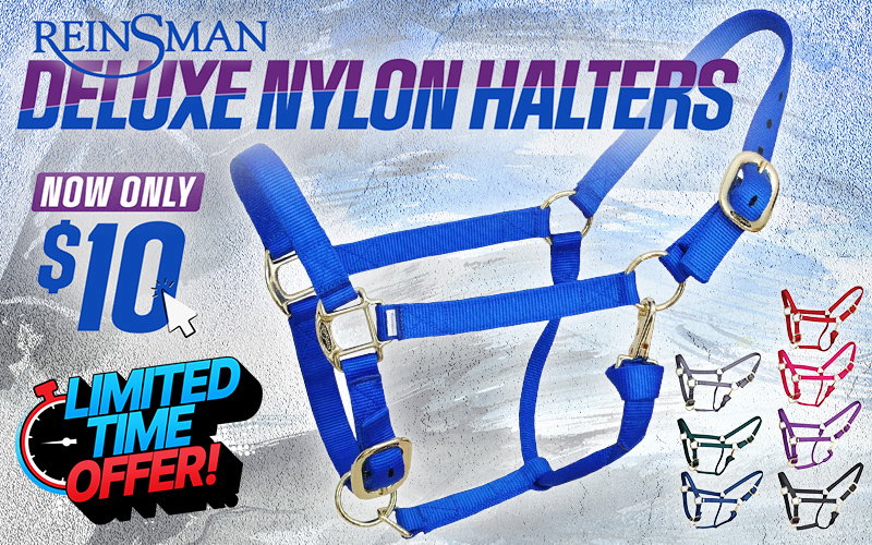 Reinsman Deluxe Nylon Halters $10