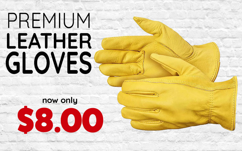Premium Leather Training Gloves $8.00