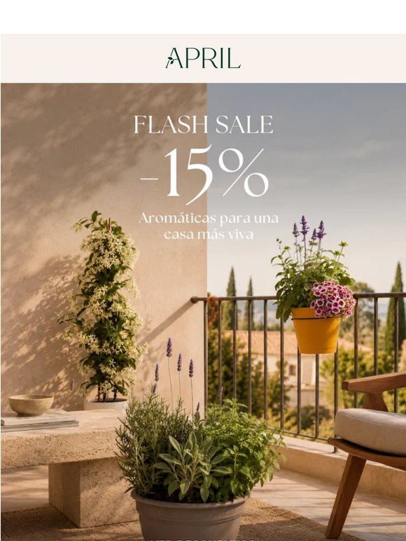 -15% en plantas aromáticas | Aromas naturales para tu hogar