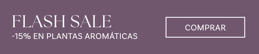 Flash Sale 15% en plantas aromáticas