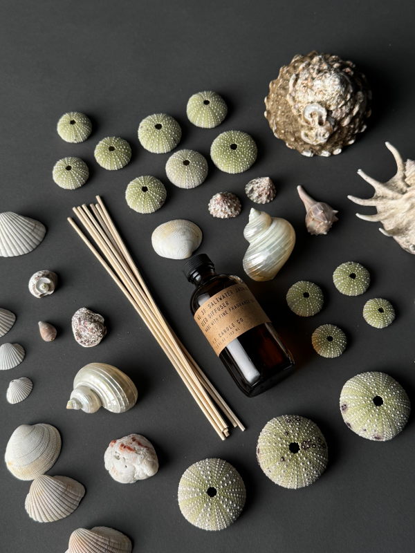 reed diffuser laid out amongst shells