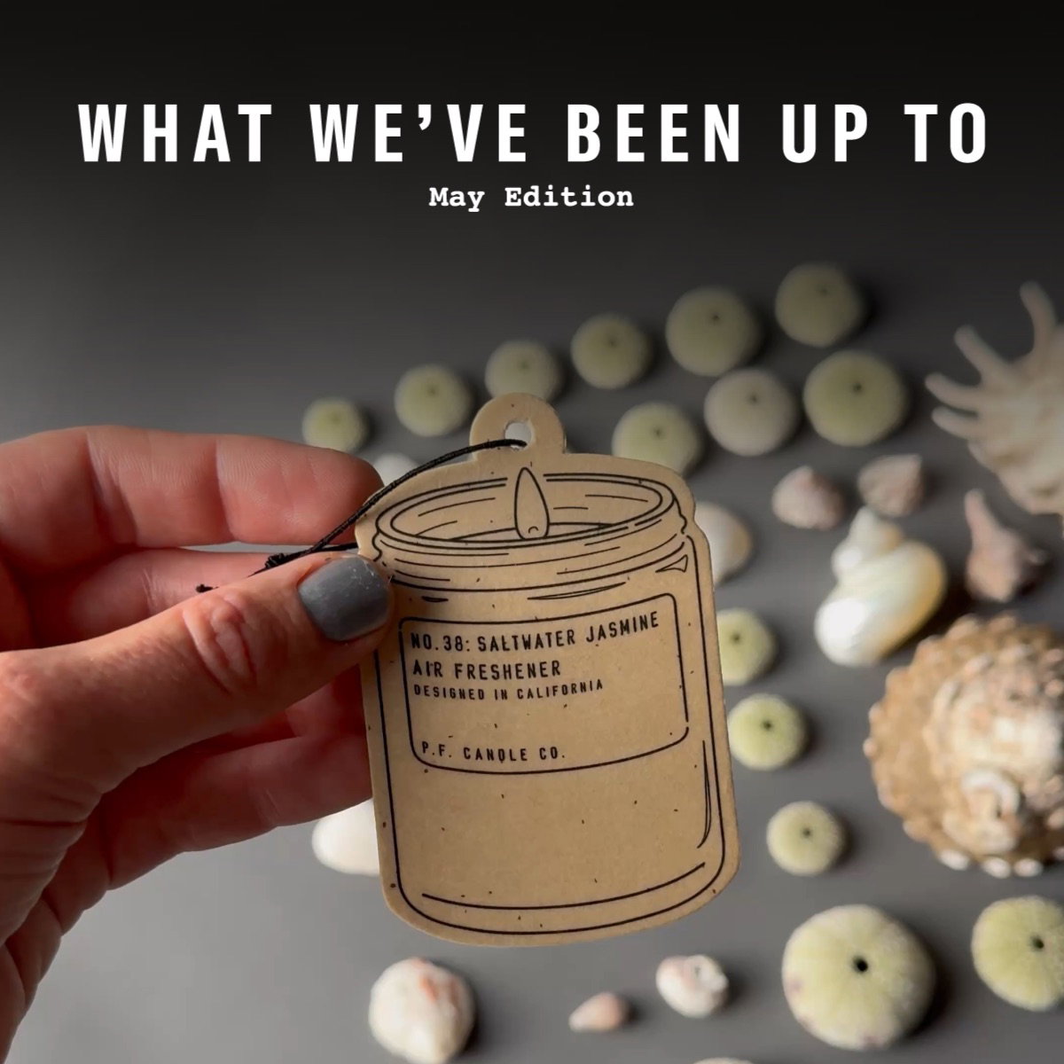 WHAT WE'VE BEEN UP TO: May Edition [a hand holding air freshener above collected shells]