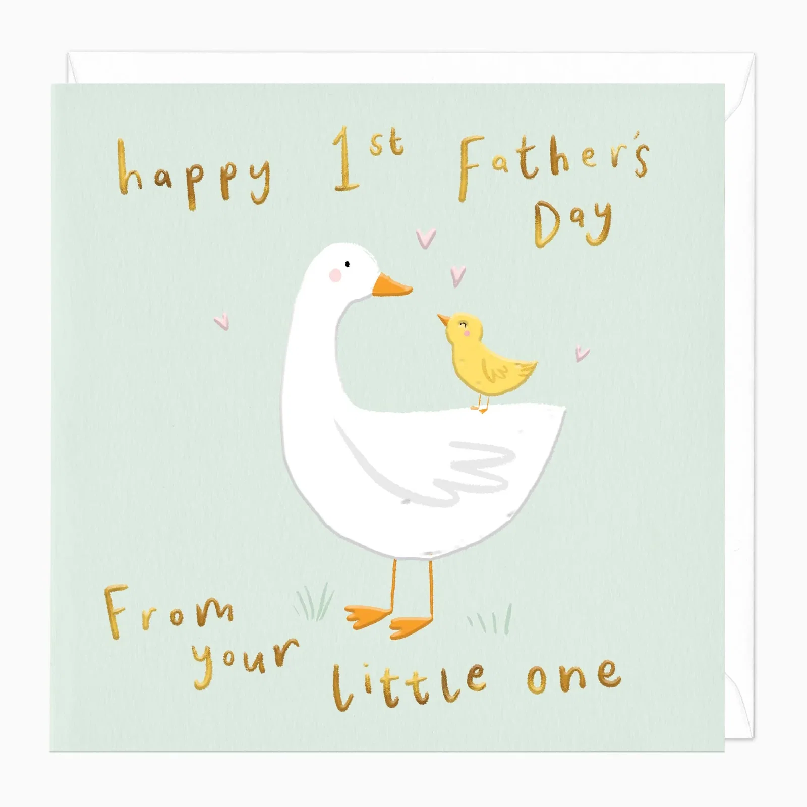 Image of H312 - Ducks Father's Day Card