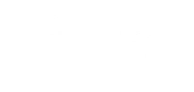 The Archive