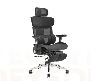 Ergolux Pro Max Ergonomic Mesh Office Chair with Footrest  Product Image