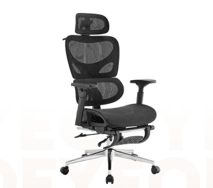 Ergolux Plus Ergonomic Mesh Office Chair with Footrest Product Image